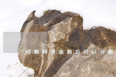 短期网贷逾期后可以分期还么 短期网贷逾期后可以分期还么