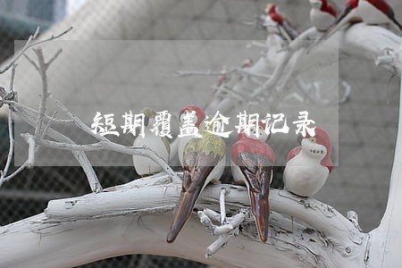 短期覆盖逾期记录 短期覆盖逾期记录