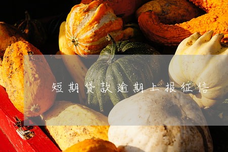 短期贷款逾期上报征信 短期贷款逾期上报征信