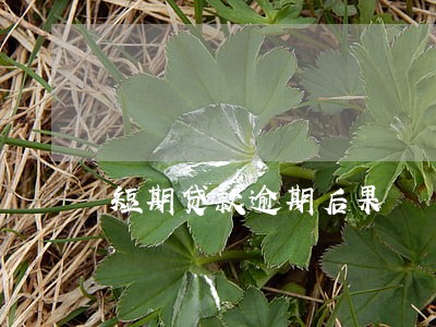 短期贷款逾期后果 短期贷款逾期后果