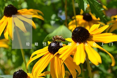 短期贷款逾期多久会上门催收 短期贷款逾期多久会上门催收