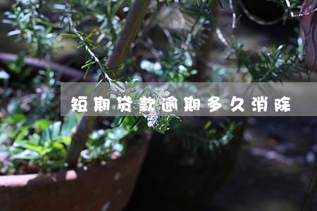 短期贷款逾期多久消除 短期贷款逾期多久消除
