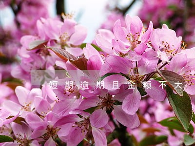 短期逾期且金额不大 短期逾期且金额不大