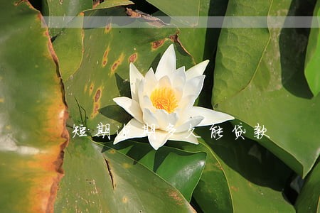 短期逾期多久能贷款 短期逾期多久能贷款