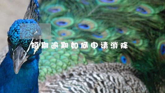 短期逾期如何申请消除 短期逾期如何申请消除