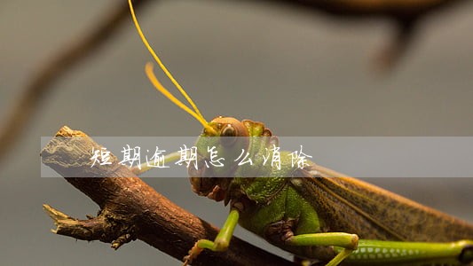 短期逾期怎么消除 短期逾期怎么消除