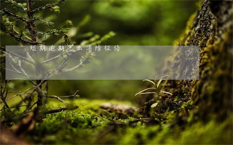 短期逾期怎么消除征信 短期逾期怎么消除征信