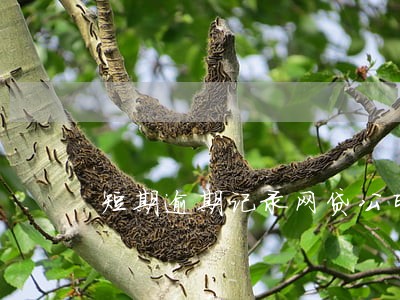 短期逾期记录网贷公司能撤销吗 短期逾期记录网贷公司能撤销吗