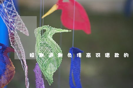 短期逾期负债高可借款的平台 短期逾期负债高可借款的平台