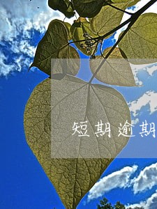 短期逾期避免形成不良 短期逾期避免形成不良