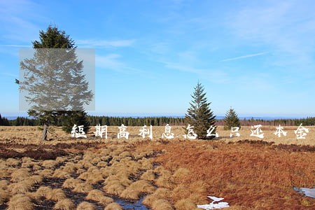 短期高利息怎么只还本金 短期高利息怎么只还本金
