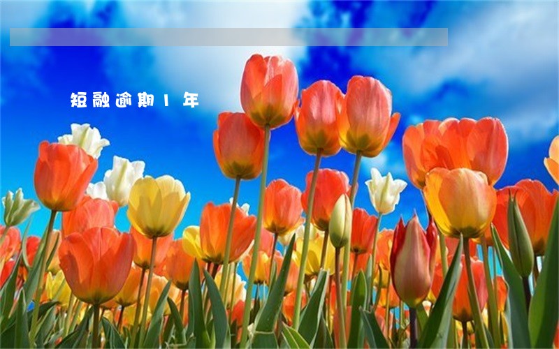 短融逾期1年