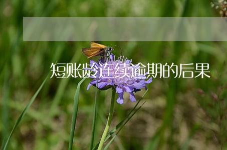短账龄连续逾期的后果 短账龄连续逾期的后果