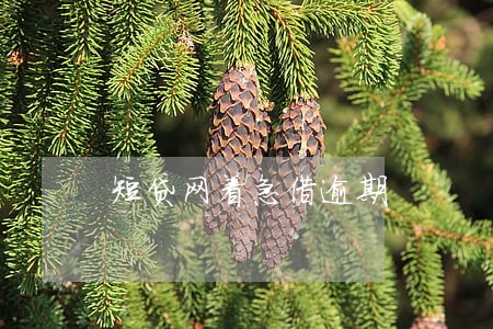 短贷网着急借逾期 短贷网着急借逾期