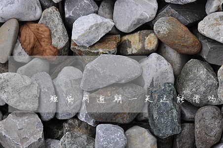 短贷网逾期一天还能借吗