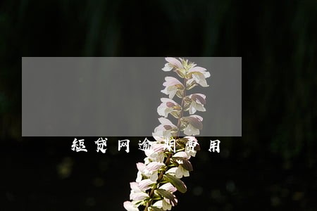 短贷网逾期费用 短贷网逾期费用