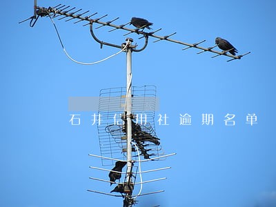 石井信用社逾期名单 石井信用社逾期名单