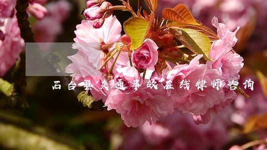 石台县交通事故在线律师咨询 石台县交通事故在线律师咨询