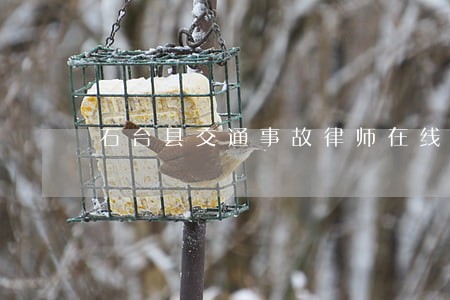 石台县交通事故律师在线免费咨询 石台县交通事故律师在线免费咨询
