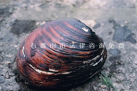 石嘴山市法律咨询免费 石嘴山市法律咨询免费