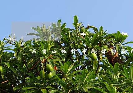 石嘴山执行异议律师在线咨询 石嘴山执行异议律师在线咨询