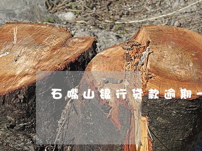 石嘴山银行贷款逾期一天 石嘴山银行贷款逾期一天