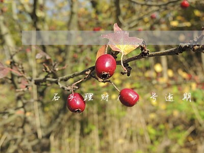 石头理财17号逾期