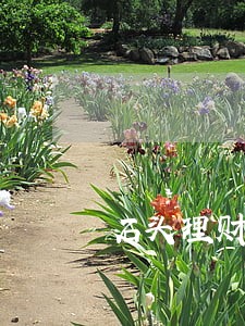 石头理财为何会出现逾期兑付难 石头理财为何会出现逾期兑付难