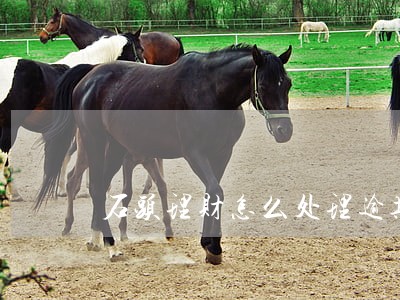 石头理财怎么处理逾期 石头理财怎么处理逾期
