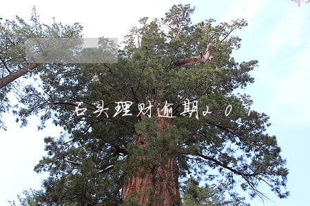 石头理财逾期2018 石头理财逾期2018