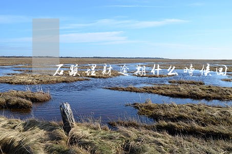 石头理财逾期什么时候回款 石头理财逾期什么时候回款