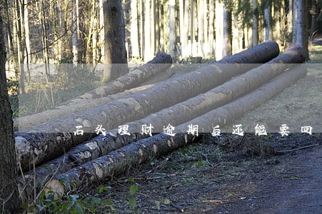 石头理财逾期后还能要回来吗