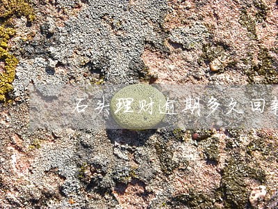 石头理财逾期多久回款 石头理财逾期多久回款