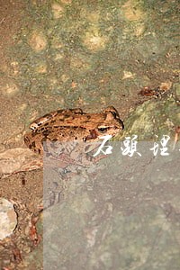 石头理财逾期多久才能正常 石头理财逾期多久才能正常
