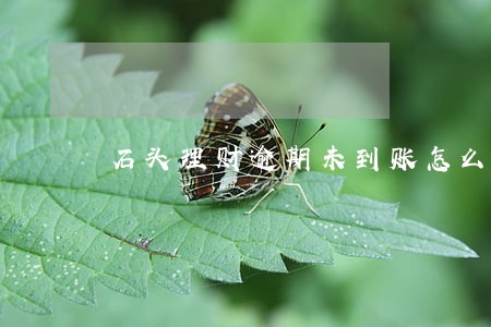 石头理财逾期未到账怎么报警 石头理财逾期未到账怎么报警