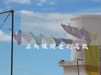 石头理财逾期还款 石头理财逾期还款