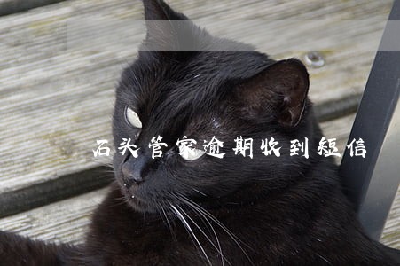 石头管家逾期收到短信 石头管家逾期收到短信