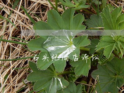 石头纪酒店诉讼