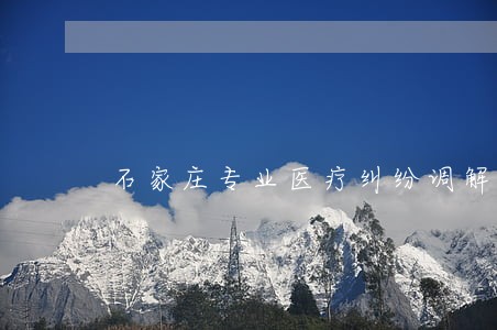 石家庄专业医疗纠纷调解律师 石家庄专业医疗纠纷调解律师