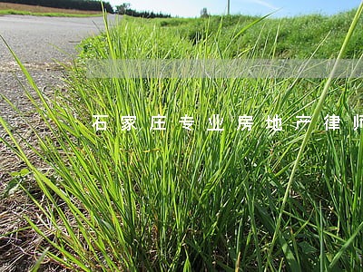 石家庄专业房地产律师收费 石家庄专业房地产律师收费