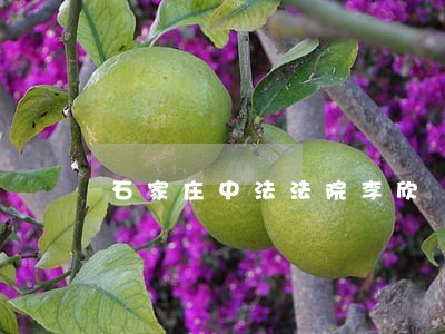 石家庄中法法院李欣