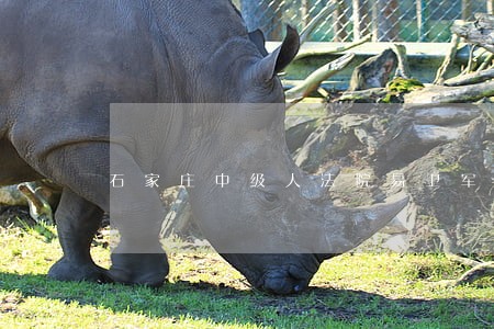 石家庄中级人法院易卫军 石家庄中级人法院易卫军