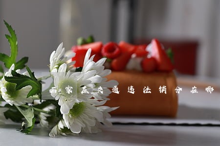 石家庄交通违法销分在哪里