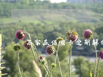 石家庄信用卡逾期解债机构 石家庄信用卡逾期解债机构