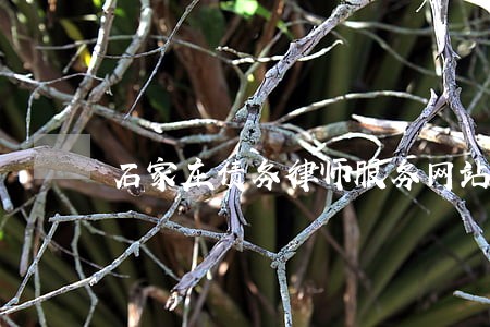 石家庄债务律师服务网站 石家庄债务律师服务网站