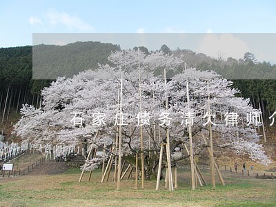 石家庄债务清欠律师介绍