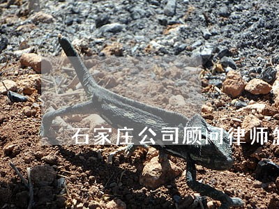 石家庄公司顾问律师怎么收费 石家庄公司顾问律师怎么收费