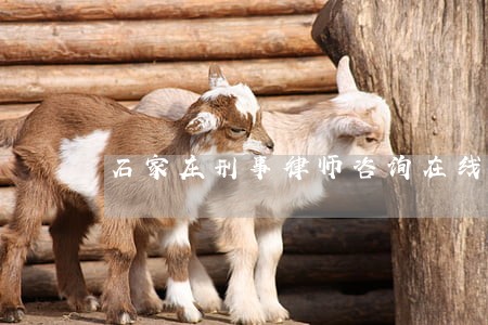 石家庄刑事律师咨询在线 石家庄刑事律师咨询在线