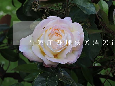 石家庄办理债务清欠律师费用 石家庄办理债务清欠律师费用