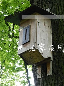 石家庄周边刑事案律师费用标准
